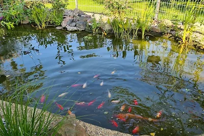 Ferienwohnung  "To Hus"