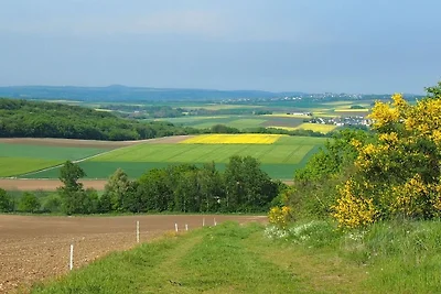Vakantieappartement in Pilliger Heck met wifi