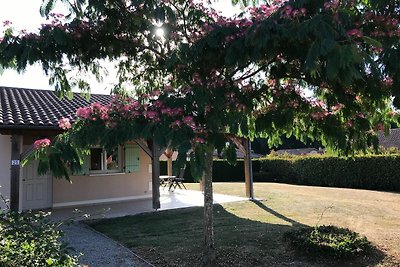 Bellissima villa con piscina in comune