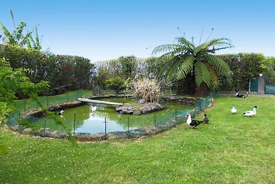 Bungalow a Vila Franca do Campo