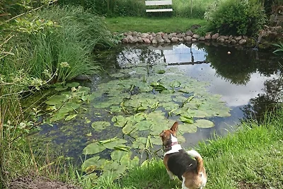 Kustgezicht van Oost-Friesland
