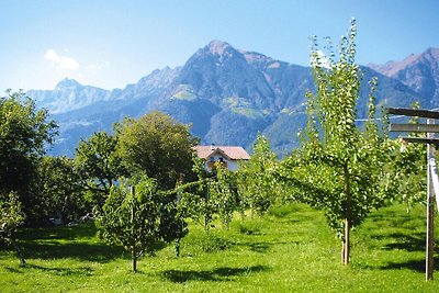 Wohnung in Dorf Tirol mit Garten
