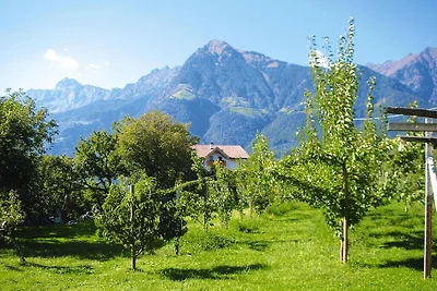 Wohnung in Dorf, Trentino mit Garten