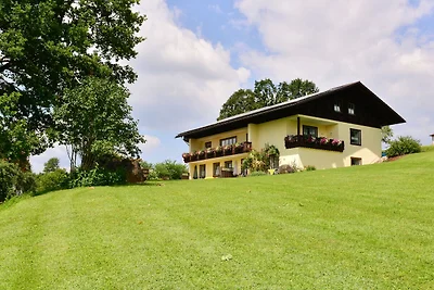 Ferienhaus mit Sauna in Skigebietsnähe