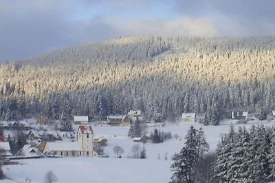 Dom w naturze - widok na Feldberg