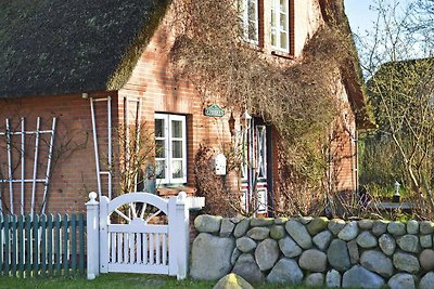 Ferienwohnung in Oevenum auf Foehr