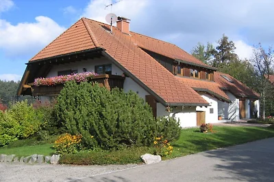 Sattler House, rookvrij