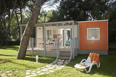 Vrijstaand chalet met airco in een natuurpark...