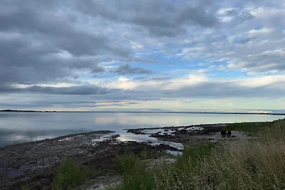 6 Personen Ferienhaus in Nibe-By Traum