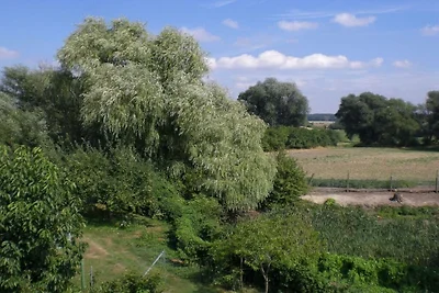 Zum Kirschbaum-Perle der Uckermark