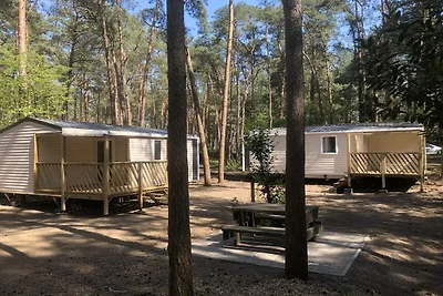 Geräumiges Chalet für 6 Personen in Antwerpen