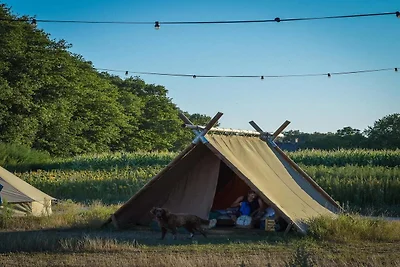 Feestelijk glampingdorp in Zuna