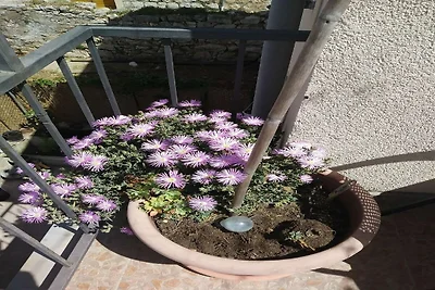 Two Bedroom Apartment with Terrace and City...