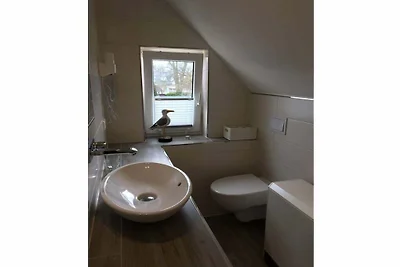 Darss vakantie met en zonder hond