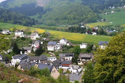 Ferienwohnung bei Willingen mit eigener...
