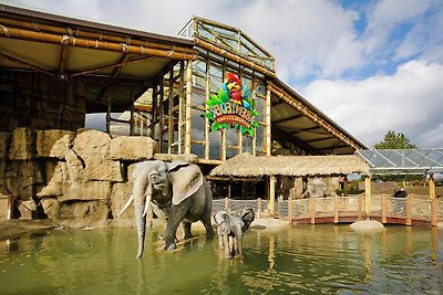 Appartements im Freizeitpark Weissenhäuser...