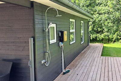 5 Sterne Ferienhaus in Fanø