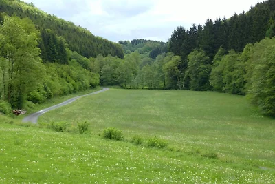 Vakantiehuis Schmallenberg vlakbij skigebied