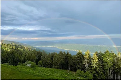 Vacanza rilassante in famiglia al lago di...