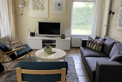 Ferienhaus in Appelscha mit Garten