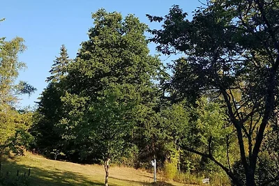 2 in de Weidenhäusermolen