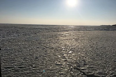 Apartamento vacacional Slaapdott