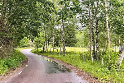 4 Sterne Ferienhaus in Drottningskär