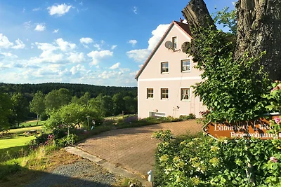 Geräumige Ferienwohnung mit Sauna in Schönsee