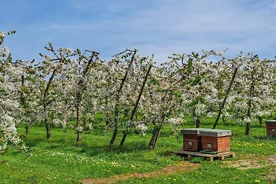 Kuća za odmor Dopust za oporavak 