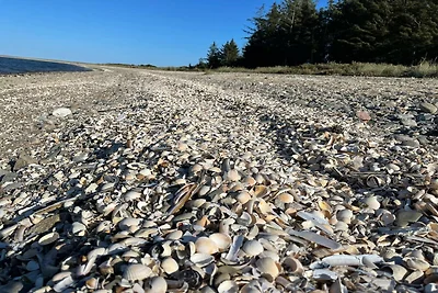 Abgeschiedenes Paradies auf Fur -- By Traum...