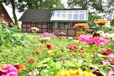 Ferienwohnung mit 2 Schlafzimmer