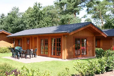 Holzchalet in einem Ferienpark im Achterhoek