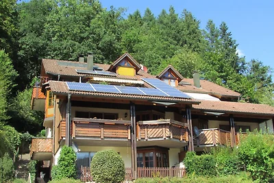 Idyllische Ferienwohnung in Schiltach in...