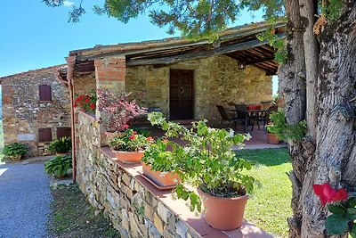 Bauernhaus in der Toskana mit Olivenhain