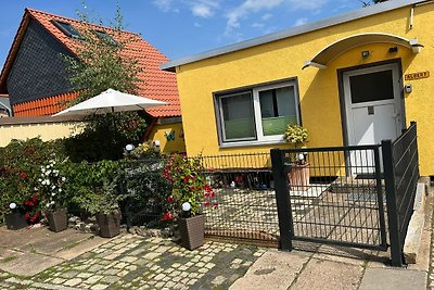 Moderne bungalow in Wernigerode met terras