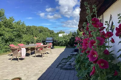 4 Sterne Ferienhaus in Læsø