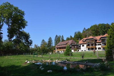 Ferienwohnung im Schwarzwald mit Balkon und...