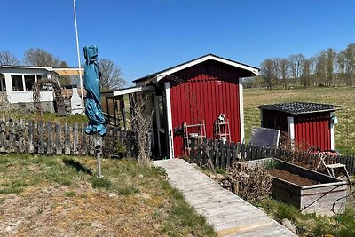 4 Personen Ferienhaus in ALVESTA