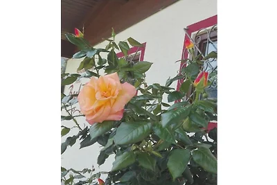 Apartamento vacacional con 2 dormitorios.