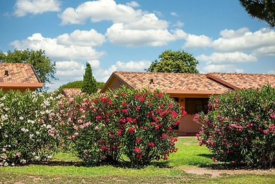 Appartement mit Veranda in Montalto Marina