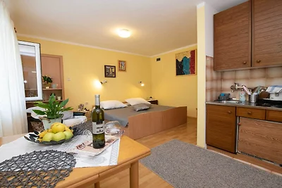 Elegant Opatija Apartments with Terrace - Stu...