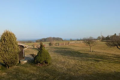Ferienhaus in Oelsnitz mit Schwimmbecken