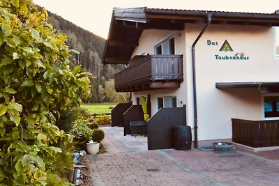 Ferienwohnung in Hollersbach mit