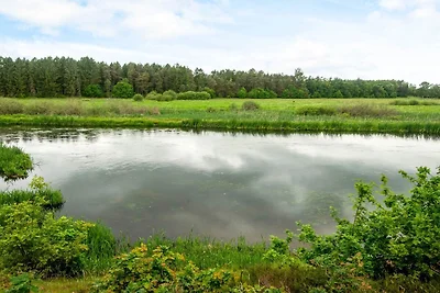 5 Sterne Ferienhaus in Fårvang