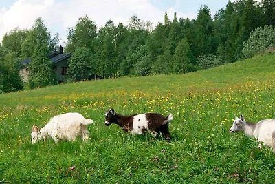 6 Personen Ferienhaus in Nordli-By Traum