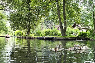 Appartements avec vue sur la Spree à Lübben