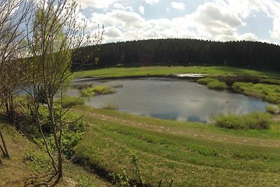 Casa bifamiliare, Hasselfelde-prec. TUI