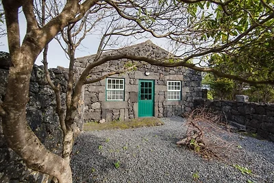 Ferienhaus, Santa Luzia, Pico, Azoren