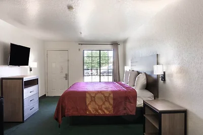 King Bed | Smoking | San-Antonio