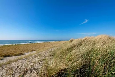 Bungalow in Sint Maartenszee am Strand